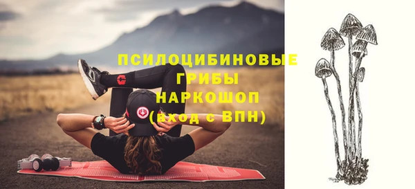 наркотики Бородино