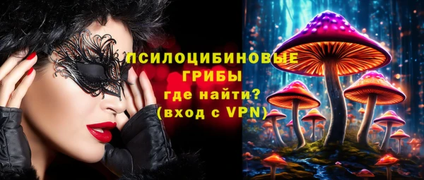 наркотики Бородино