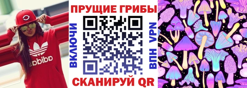 Купить  Перевоз  Галлюциногенные грибы мухоморы 